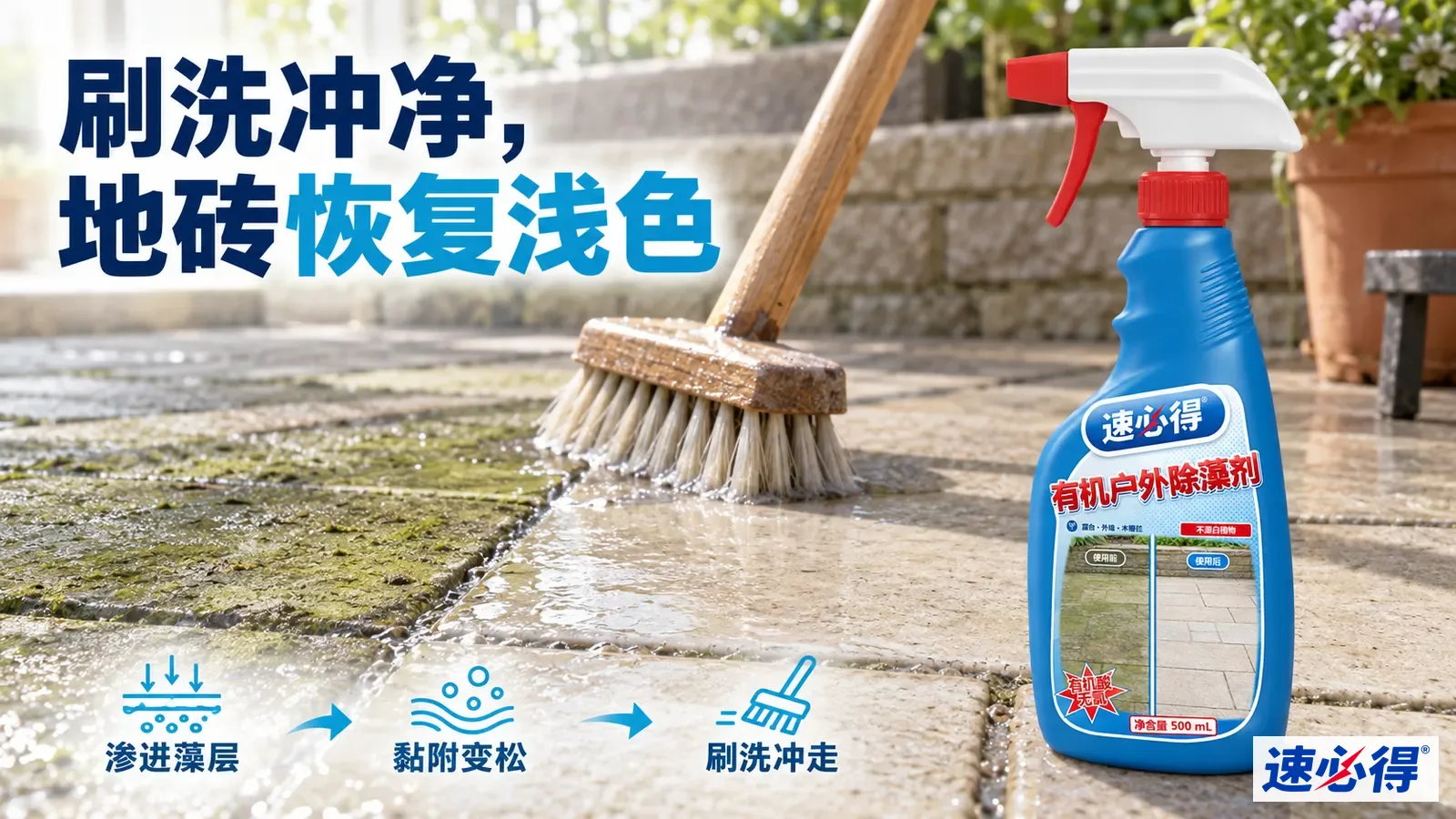 示意图：刷子刷洗湿地砖的藻层区域，旁有蓝色喷瓶。