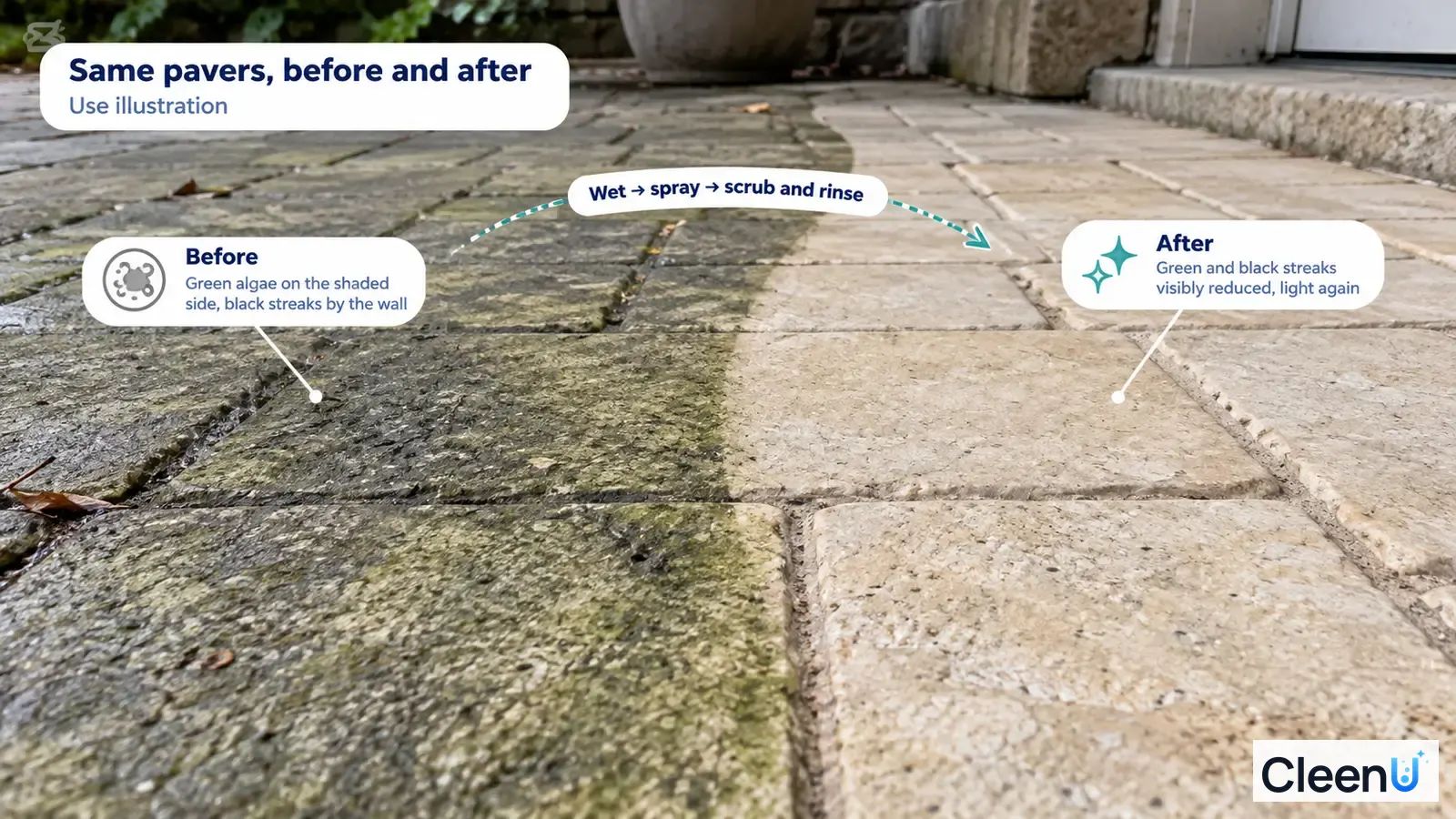 Illustration: Green algae beside a lighter patio-paver area; not a measured cleaning test.