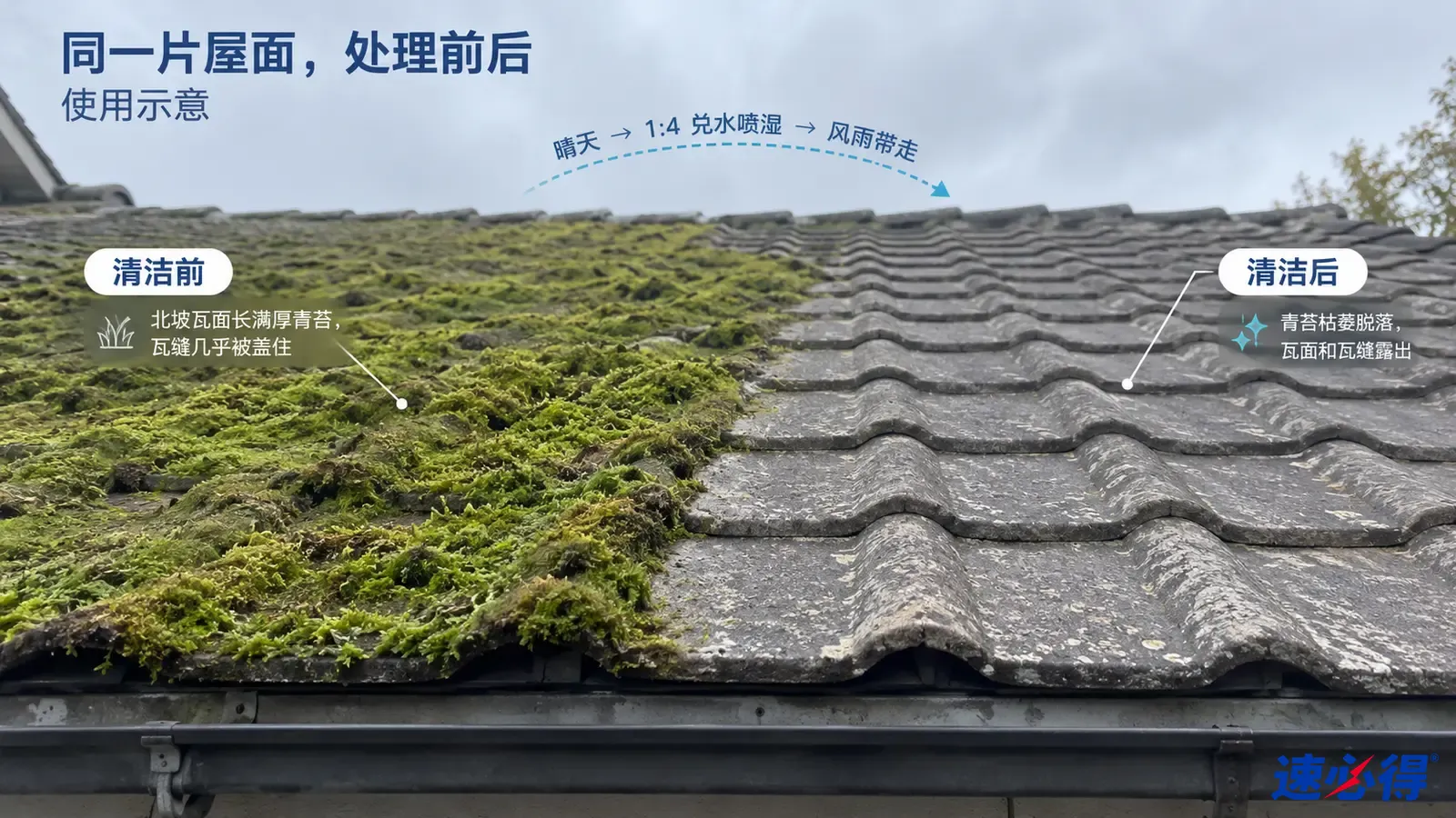 示意图:同一屋顶的苔藓区域与露出灰色瓦面区域对照,非实测照片。