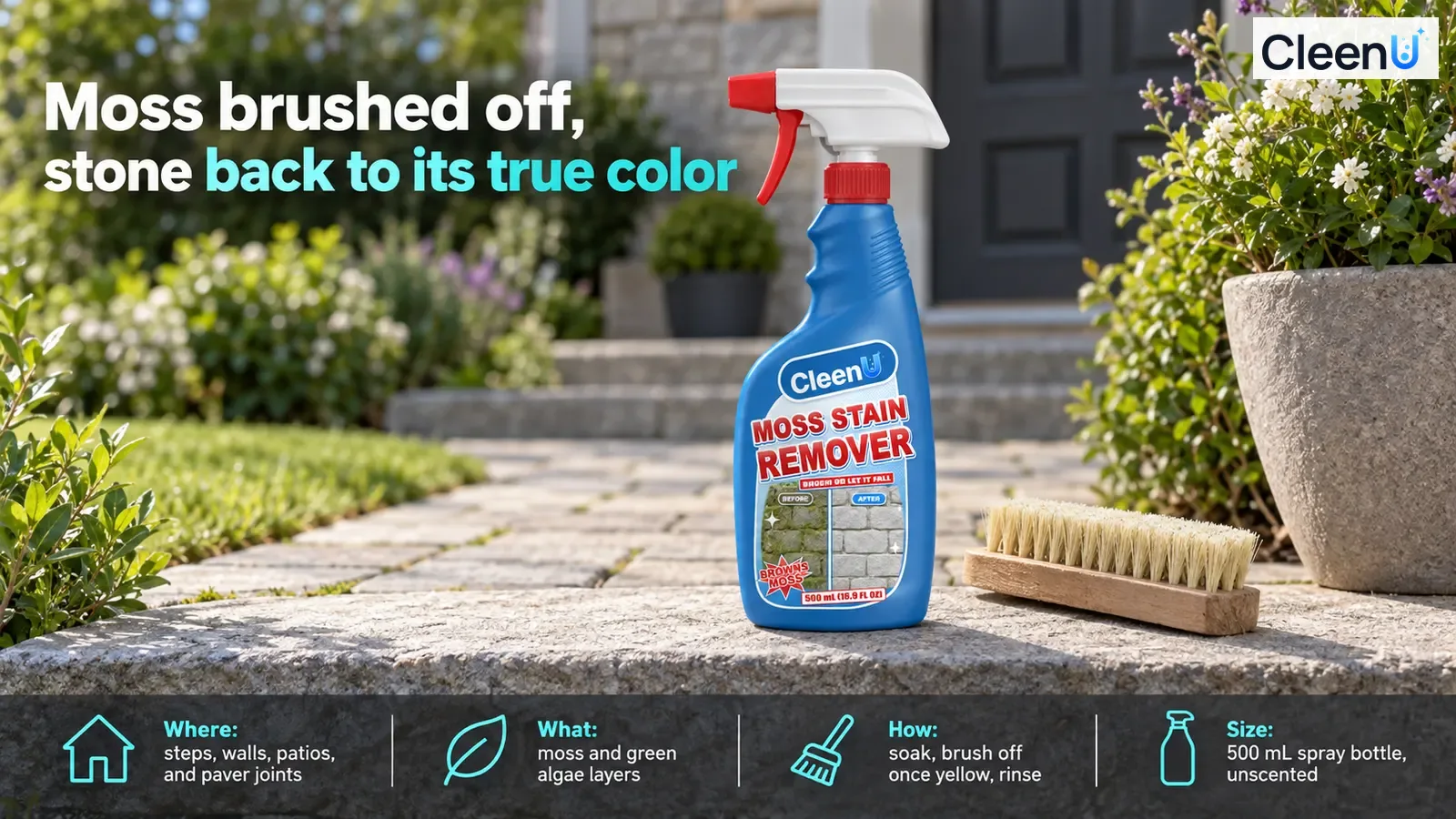 Illustration: A blue cleaner bottle and stiff brush on garden stone steps.