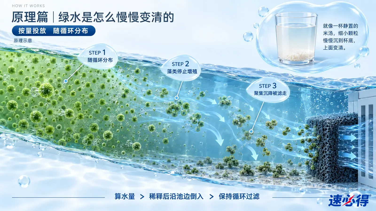 示意图：水体剖面中的绿色颗粒、下沉团块和过滤器。