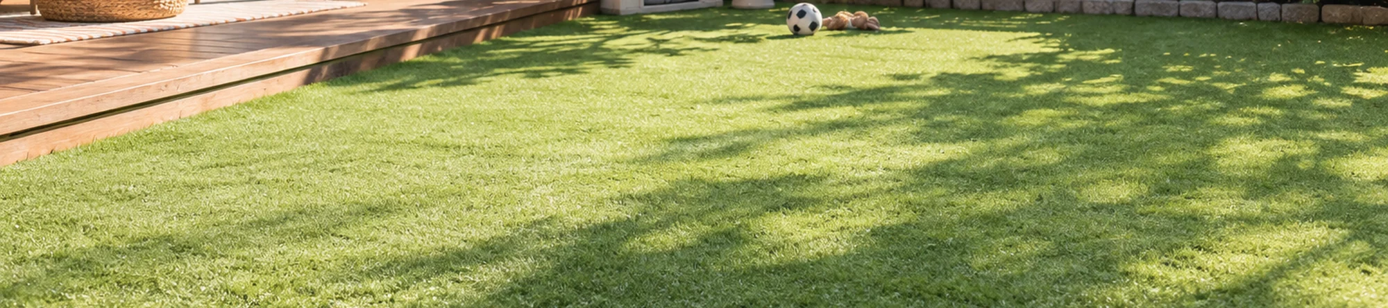 Illustration: Artificial Turf Cleaner application scene banner