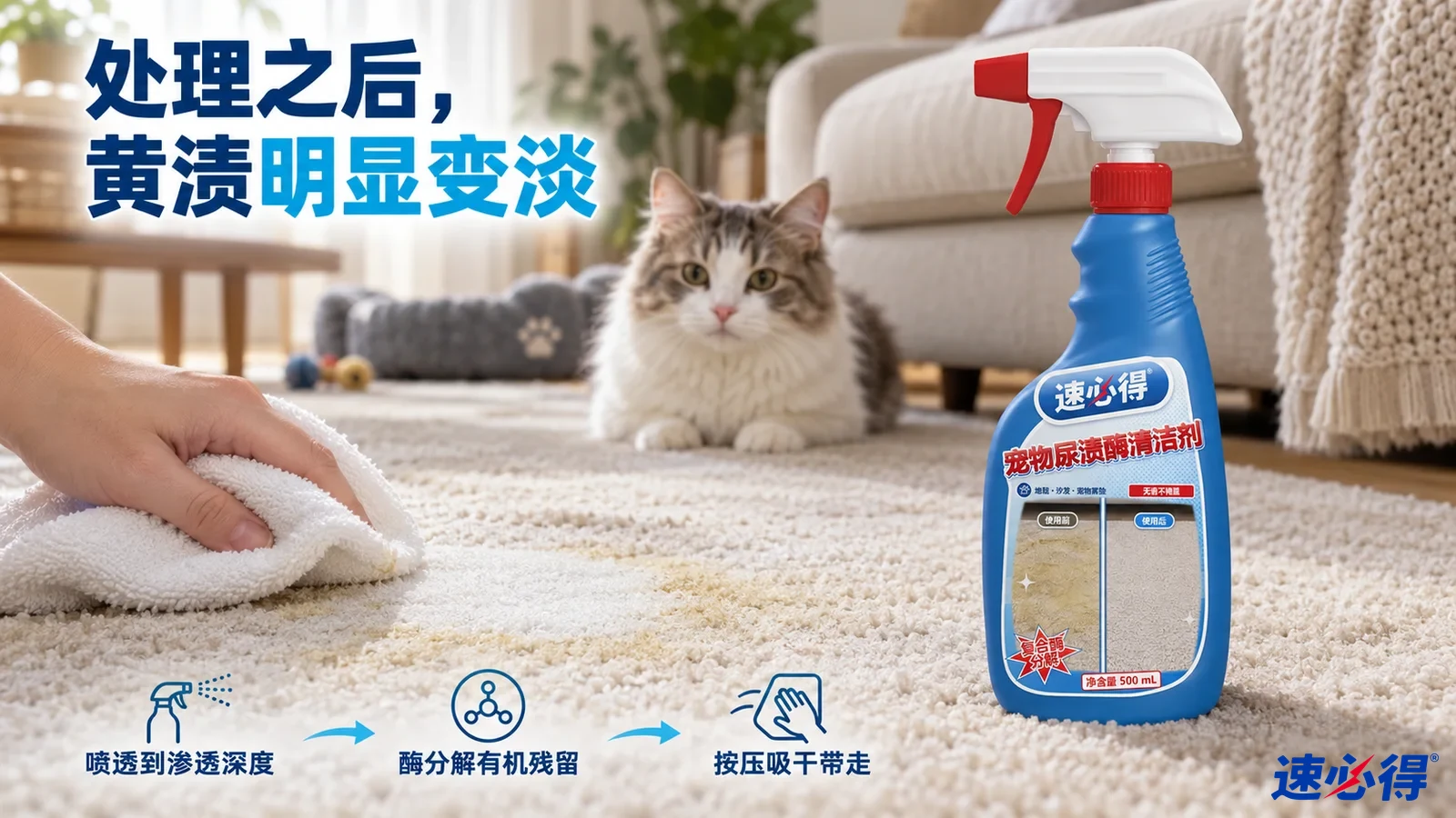 示意图：手持白布按压浅色地毯的黄色污迹，旁有猫与蓝色喷瓶。