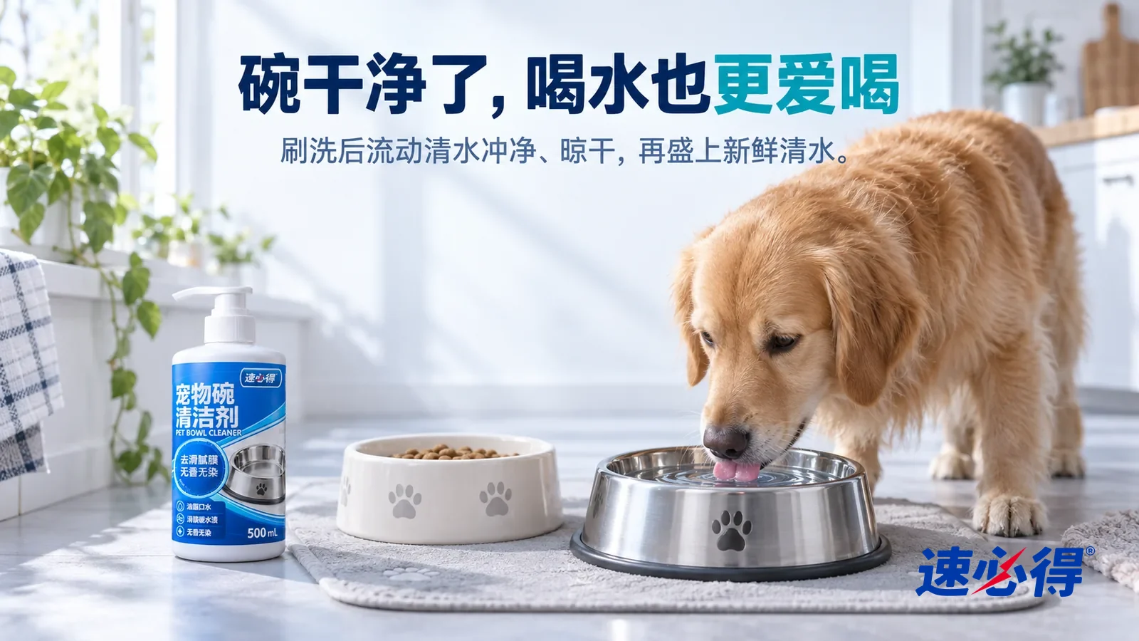 示意图：速必得宠物碗清洁剂——清晨明亮的厨房一角，浅灰喂食垫上一只光亮的不锈钢水碗盛着清澈的水，一只狗低头正要喝水，旁边一只干净的陶瓷食碗，柔和晨光从窗户斜照进来，标题“碗干净了，喝水也更爱喝”