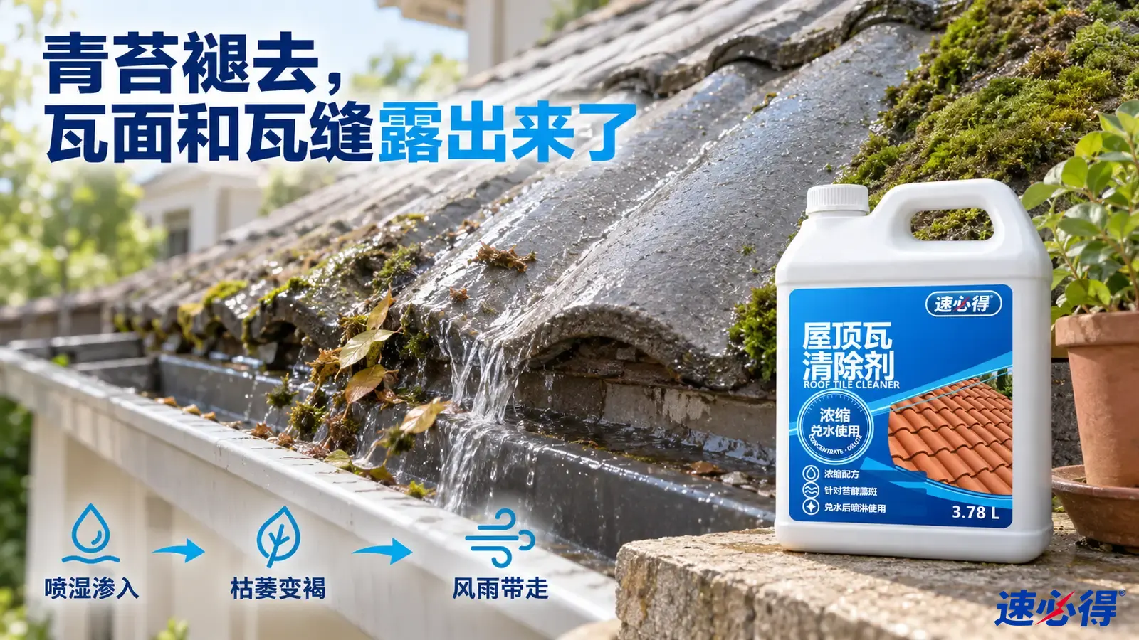 示意图：屋顶瓦片及瓦缝上的苔藓与露出瓦面区域，旁有白色清洁剂桶。