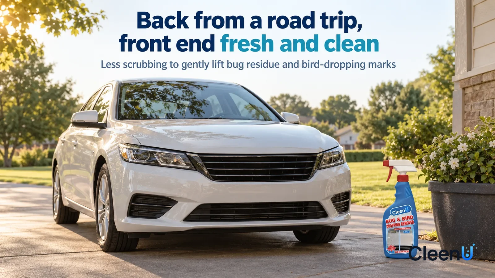 Illustration: CleenU Bug & Bird Dropping Remover — In soft early-evening daylight, a light-colored family car with no logos and no plate parked on a residential driveway in the shade of a tre Headline