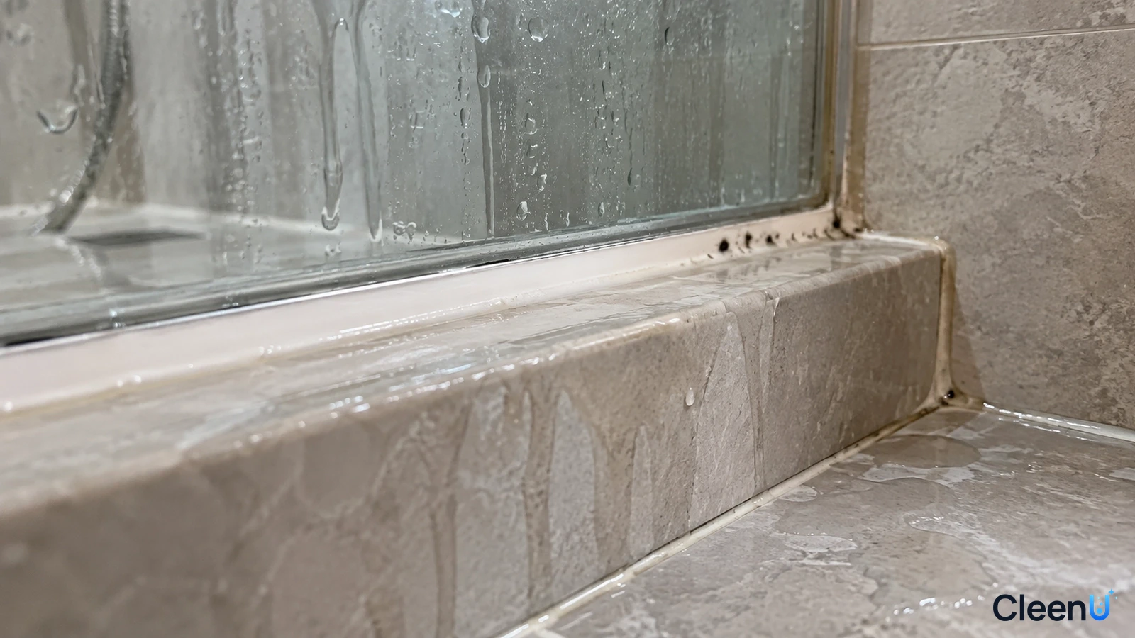 Illustration: Close-up of black mold stains along shower-glass caulk above wet tiles.