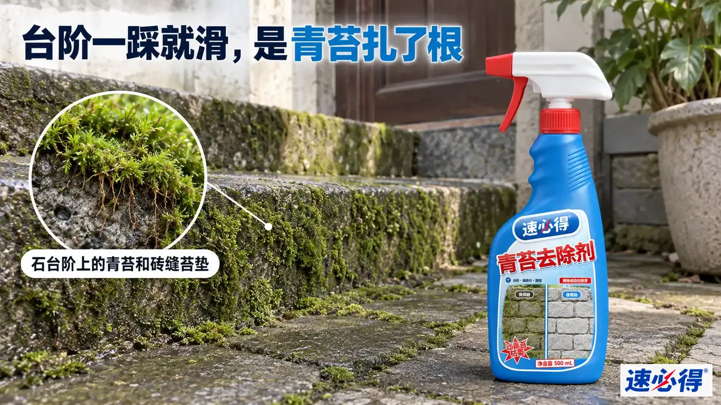 示意图：门前石阶和缝隙上的绿色苔藓及蓝色喷瓶。