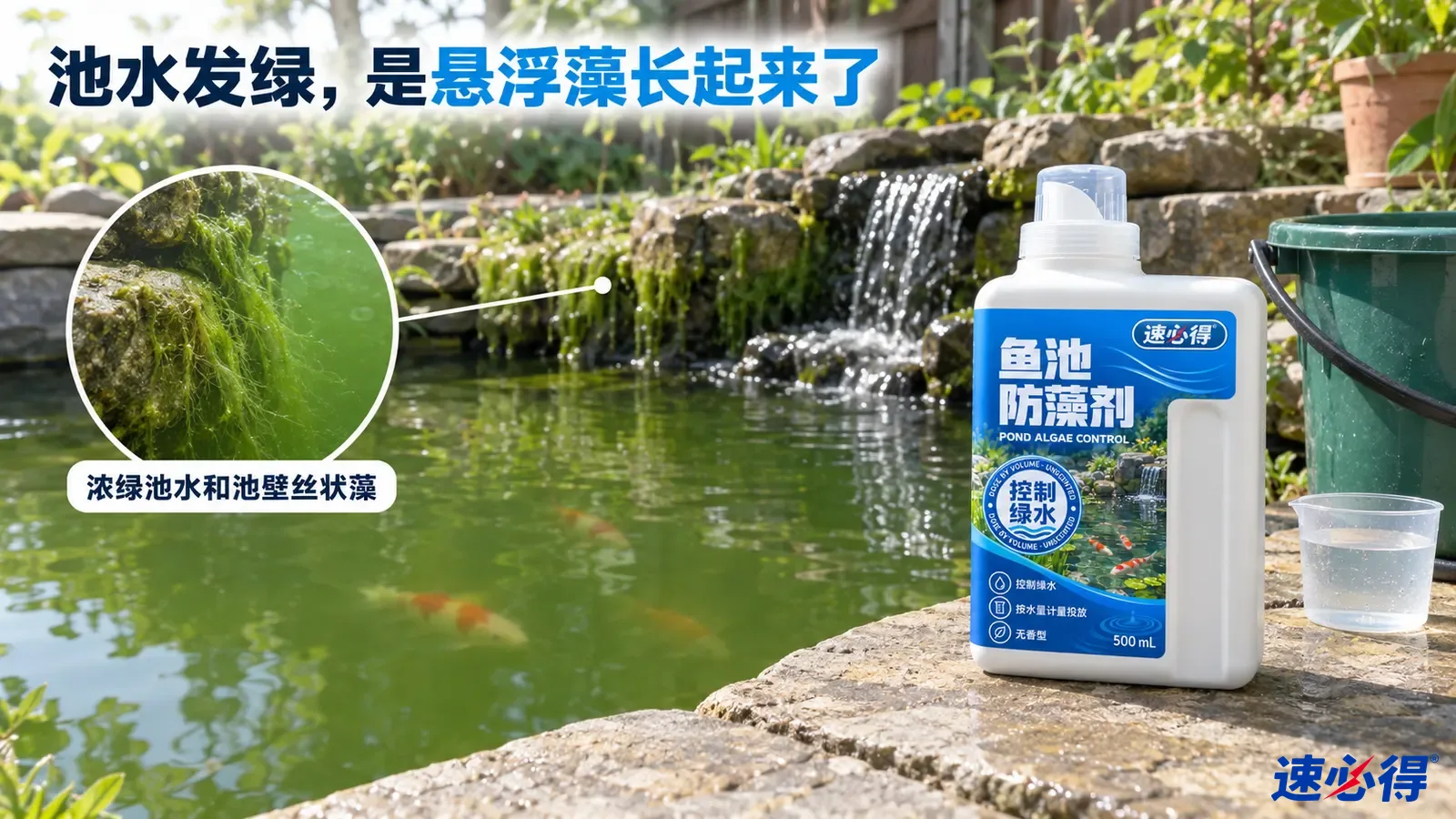 示意图：花园鱼池的绿色水体、石边、水景瀑布和白色处理剂瓶。