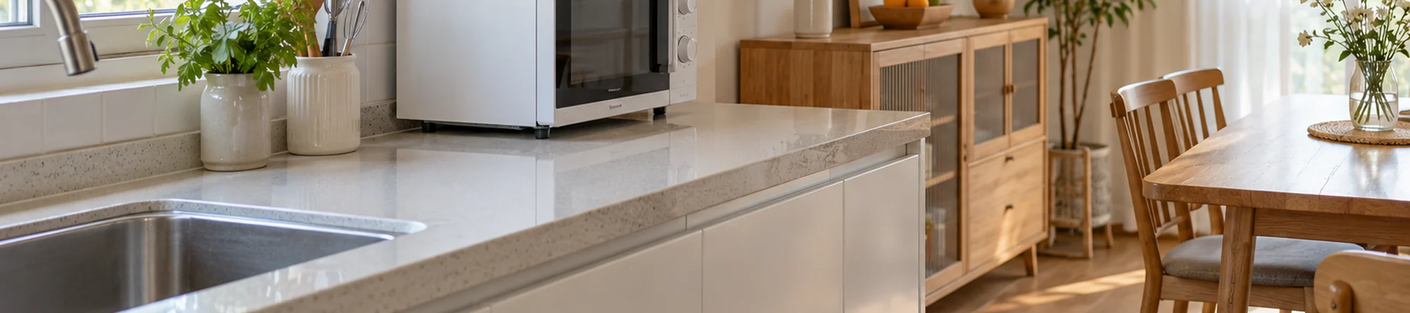 Illustration: Microwave Cleaner application scene banner
