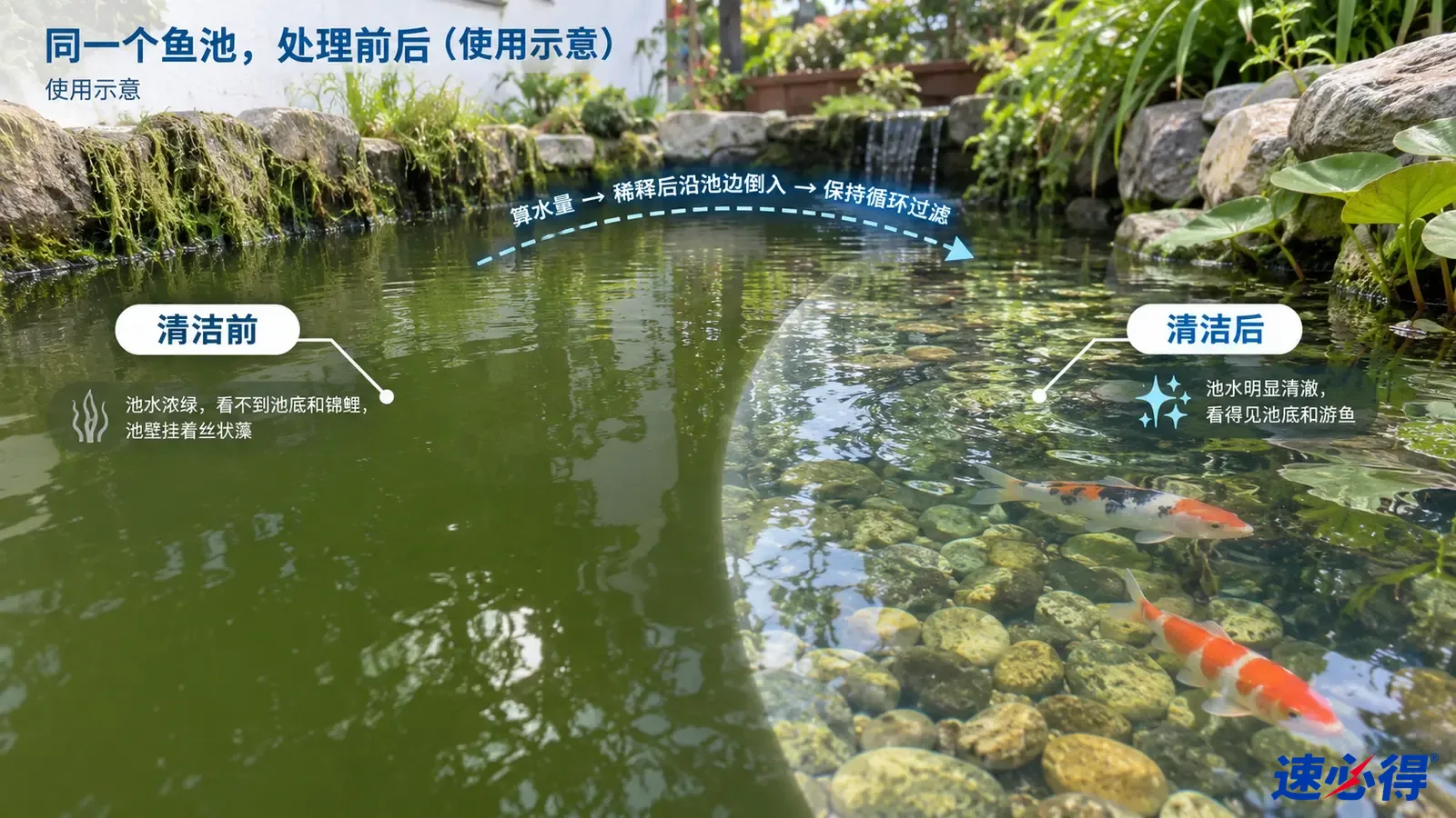 示意图：鱼池绿色水体与可见石底区域的处理对照示意，非实测照片。
