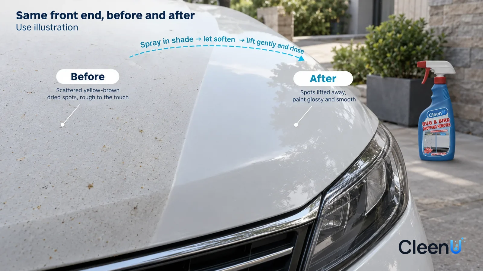 Illustration: CleenU Bug & Bird Dropping Remover — A full-screen low-angle close-up of the paint on the leading edge of a light-colored car's front end, in the same side light