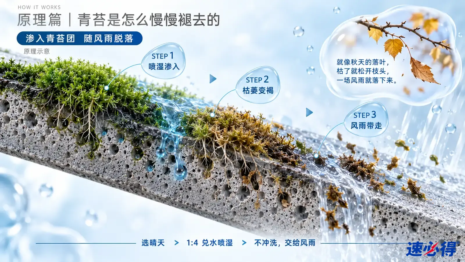 示意图:多孔屋面剖面上的苔藓、枯黄碎屑、雨滴和风向箭头。