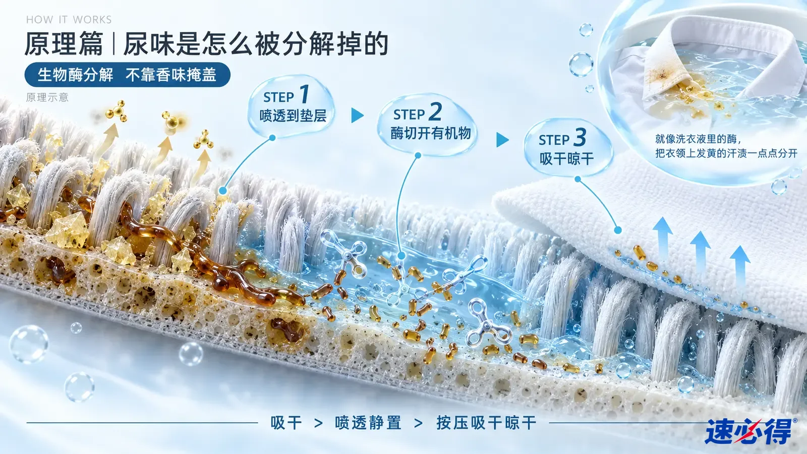 示意图:地毯纤维剖面中的黄色和棕色颗粒、液滴及上升箭头。