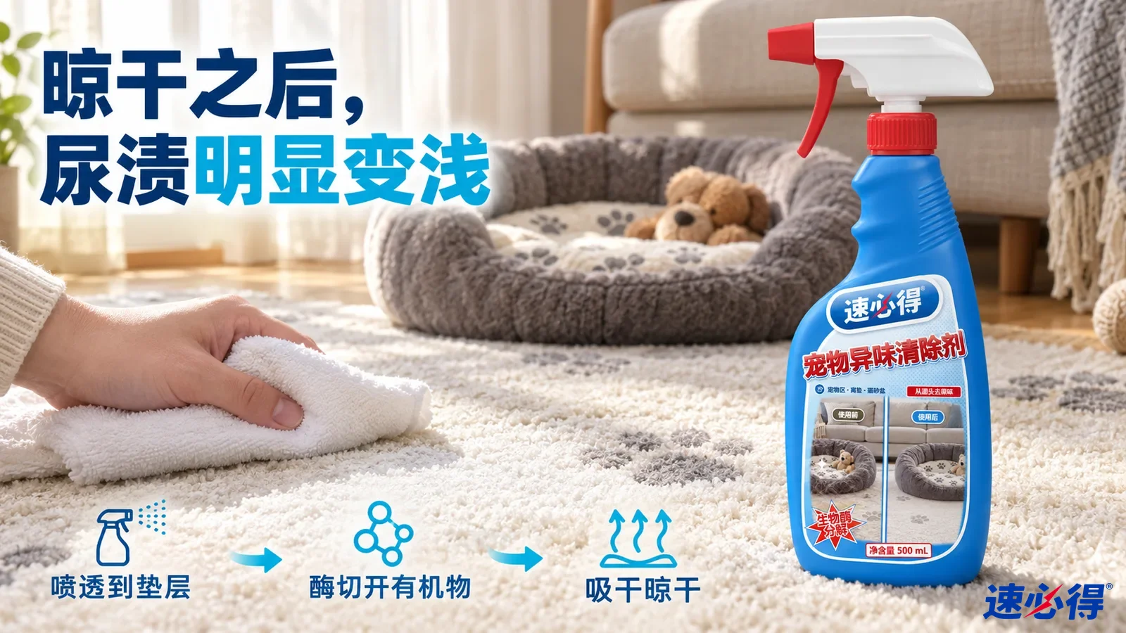 示意图：手持白布按压地毯污渍，旁有宠物窝和蓝色喷瓶。
