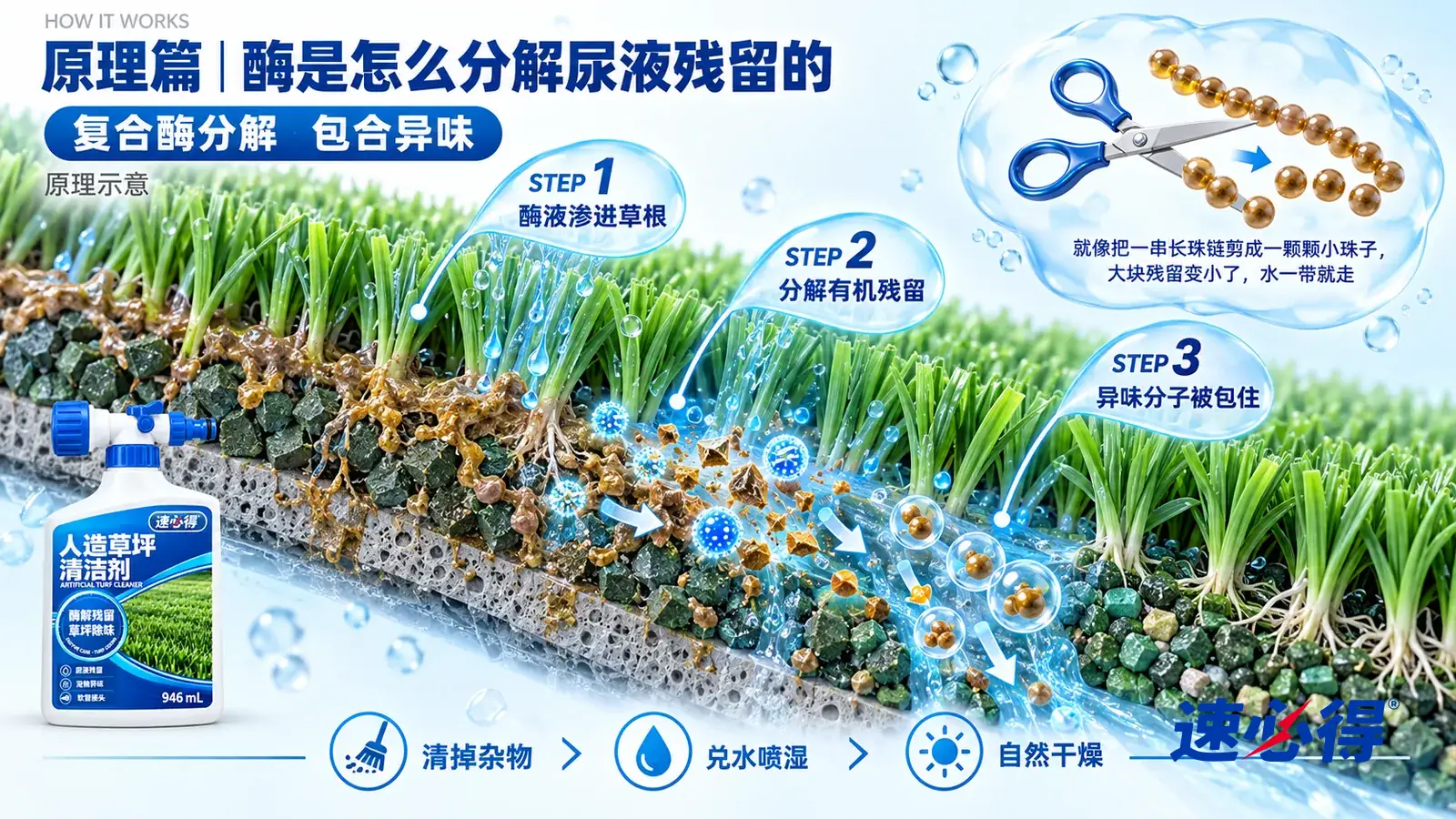 示意图:速必得人造草坪清洁剂——一段极度放大的人造草坪纵剖面从左上向右下斜贯画面:上面是一根根绿色草丝,下面是底布和一层填充颗粒;左段草根和颗粒之间附着一层灰褐色的尿液残留