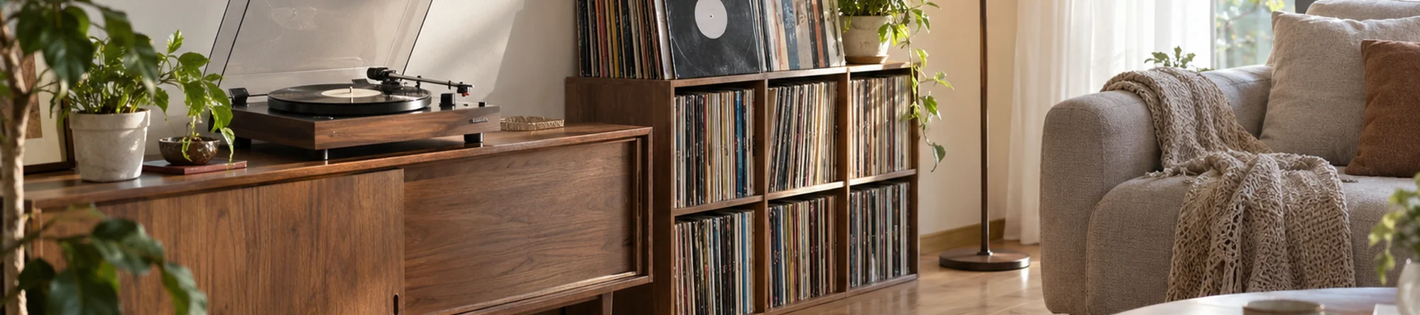 Illustration: Vinyl Record Cleaner application scene banner