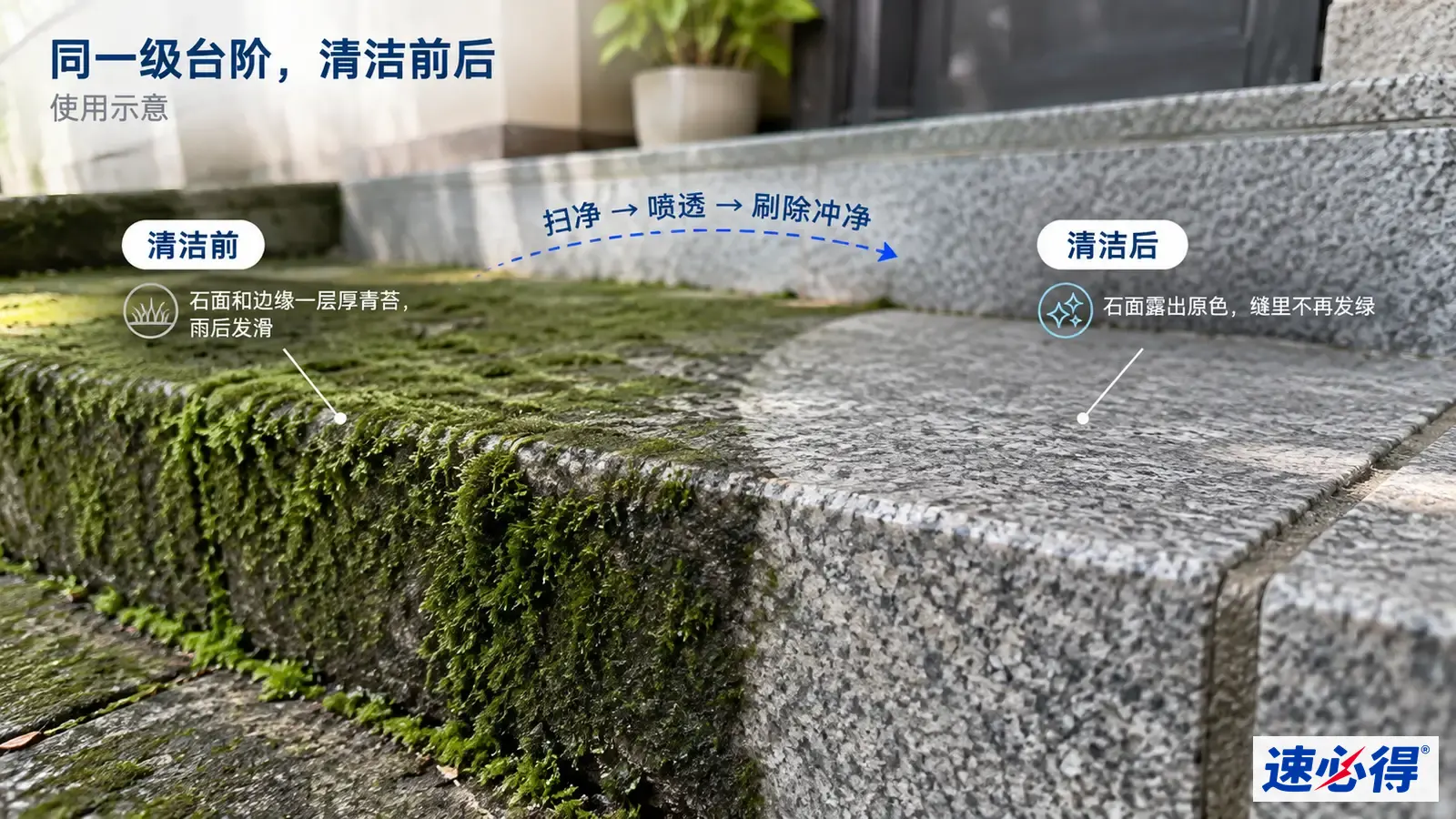示意图：石阶的绿色苔藓区域与露出石面区域对照，非实测照片。