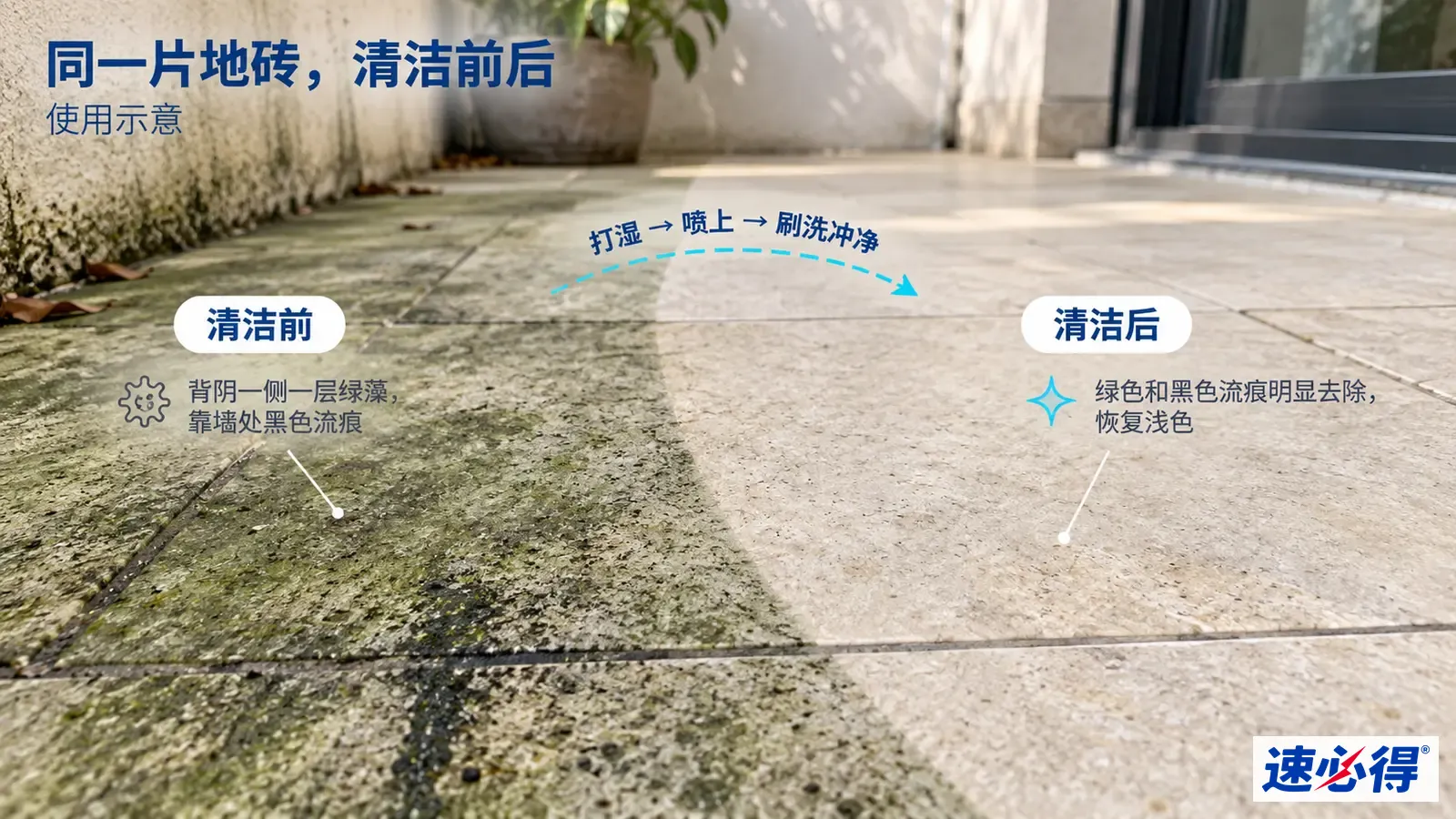 示意图：地砖的绿色藻层区域与较浅区域对照，非实测照片。