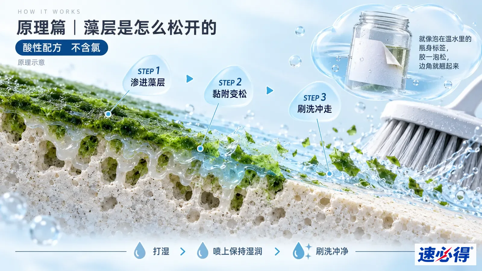 示意图：多孔铺装剖面的绿色藻层、液滴、水流与刷毛。