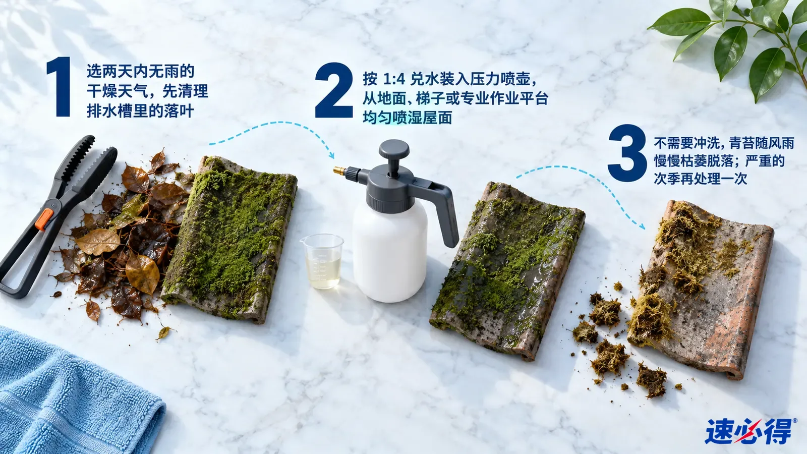 示意图:落叶、夹具、压力喷壶和苔藓屋面样片,配有编号步骤。