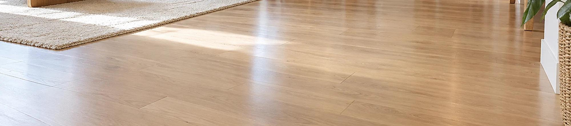 Illustration: Laminate & Wood Floor Cleaner application scene banner